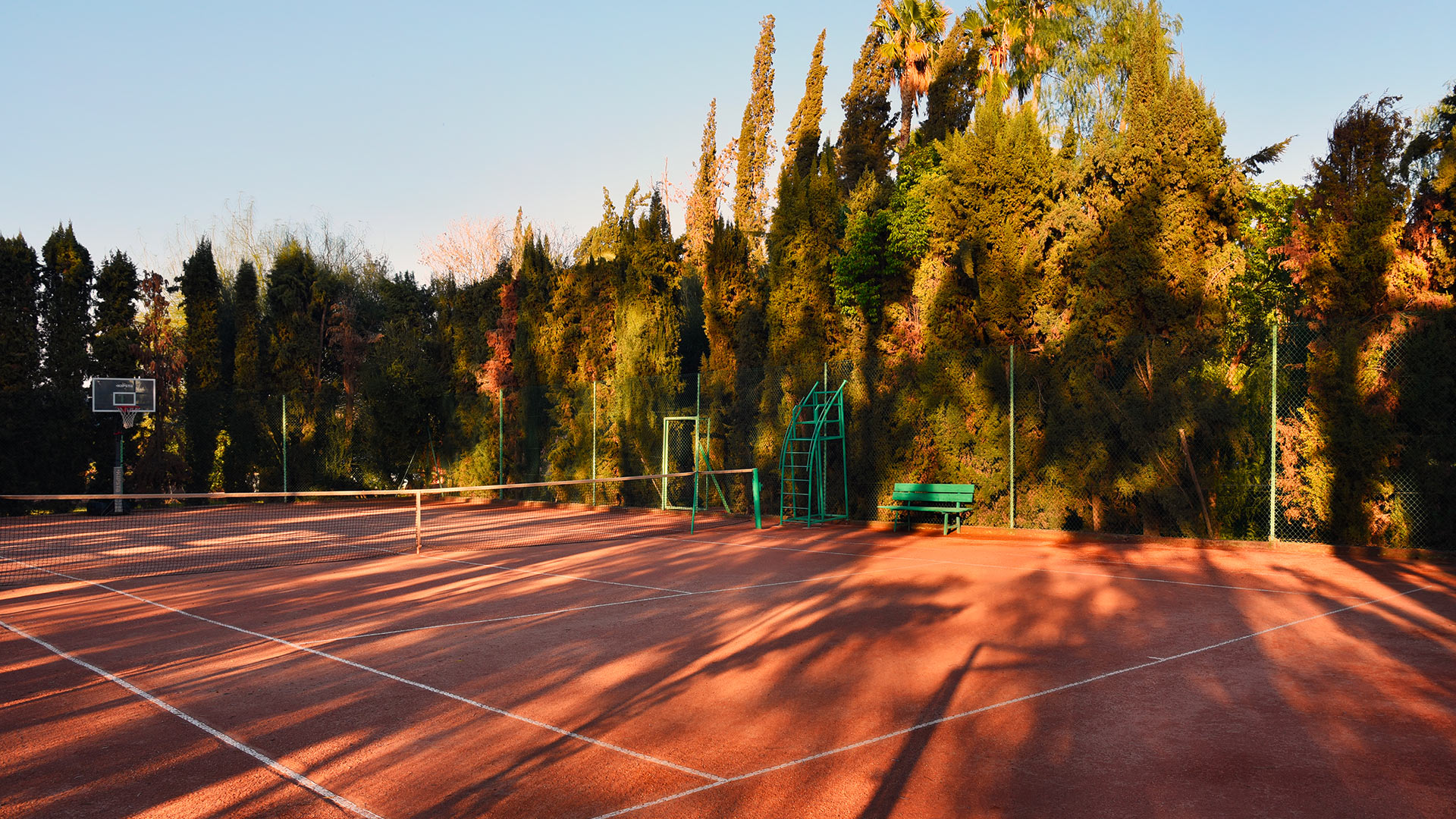 Tennis - Dar Abiad
